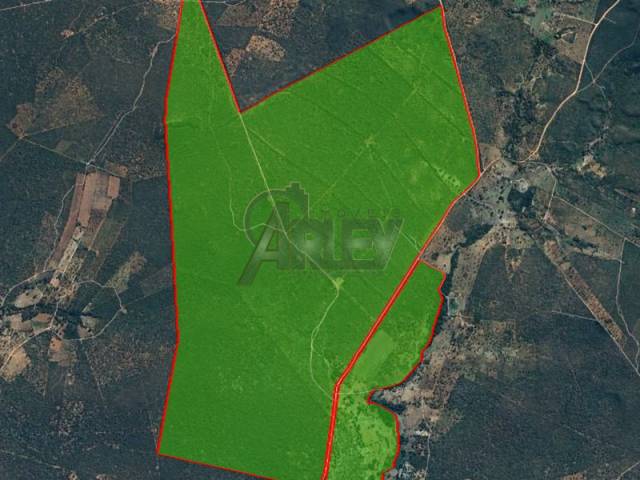 #6489 - IMÓVEIS RURAIS para Venda em Montes Claros - MG - 3