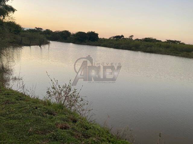 #6649 - IMÓVEIS RURAIS para Venda em Montes Claros - MG - 1