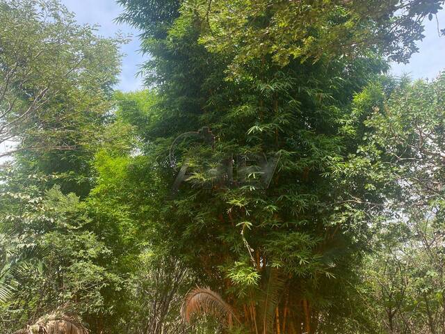 #6690 - IMÓVEIS RURAIS para Venda em Montes Claros - MG - 3