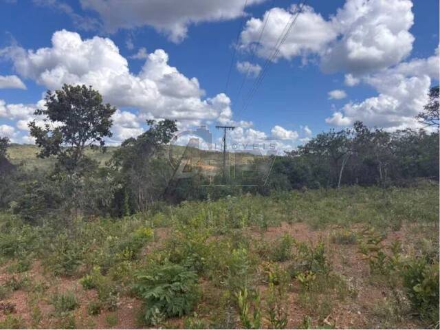 #6738 - IMÓVEIS RURAIS para Venda em Montes Claros - MG - 3