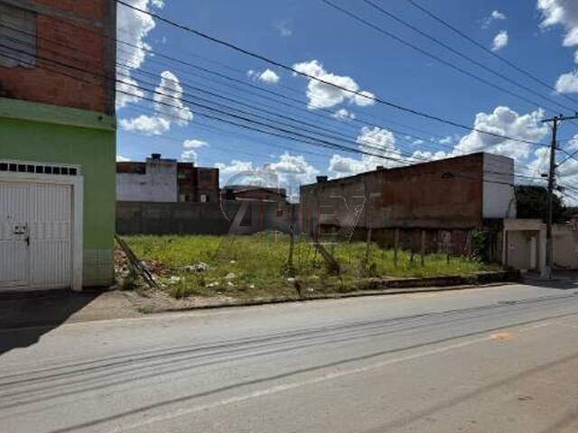 #6764 - EMPREENDIMENTOS para Venda em Montes Claros - MG - 3