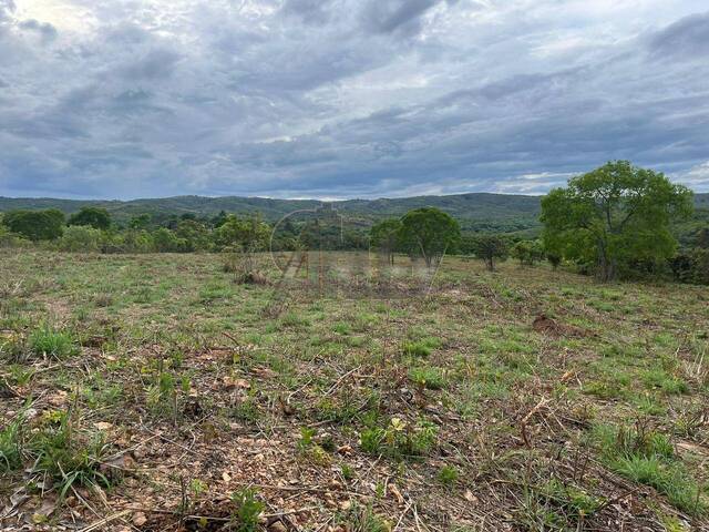 #6786 - IMÓVEIS RURAIS para Venda em Montes Claros - MG - 2