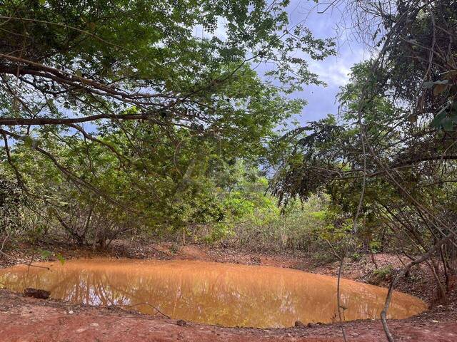 #6786 - IMÓVEIS RURAIS para Venda em Montes Claros - MG - 3