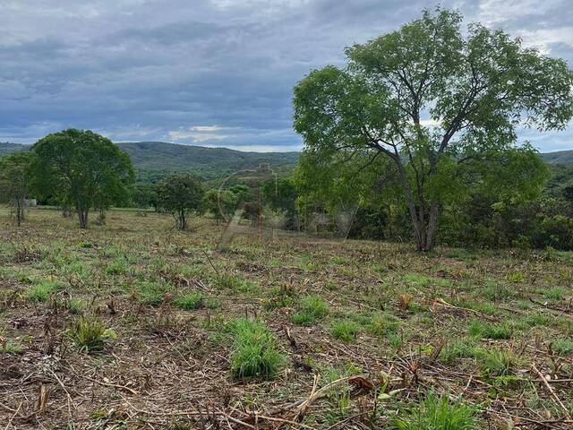 IMÓVEIS RURAIS para Venda em Montes Claros - 4