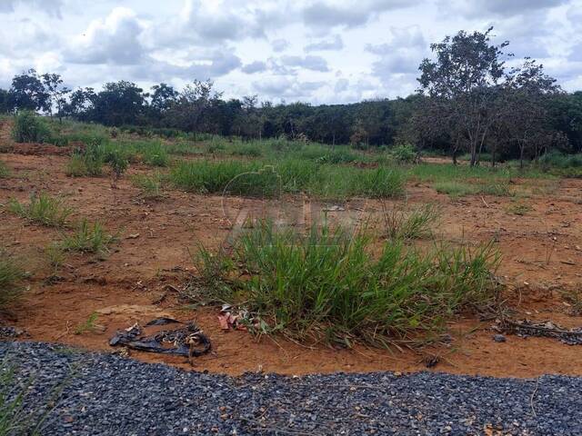 #6817 - LOTES FINANCIADOS para Venda em Montes Claros - MG - 1