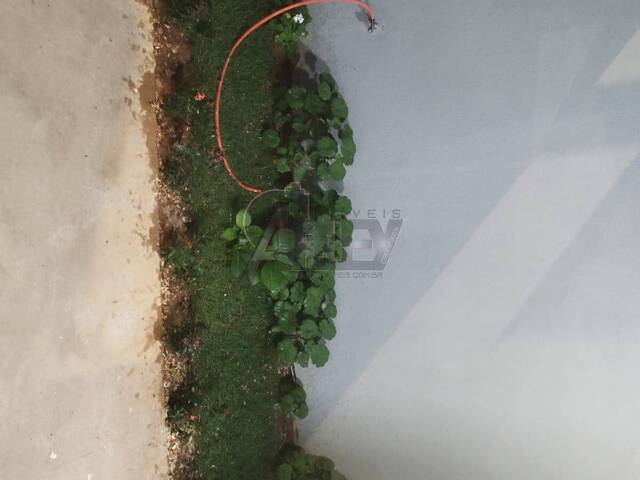#6897 - MINHA CASA MINHA VIDA para Venda em Montes Claros - MG - 3