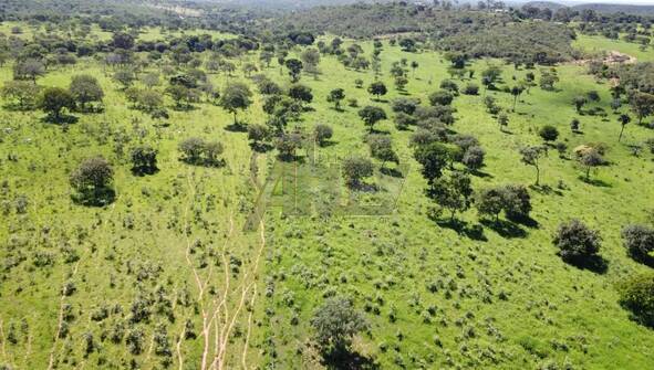 Terreno, 180 m² - Foto 2