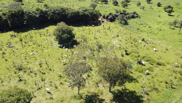 Terreno, 180 m² - Foto 1