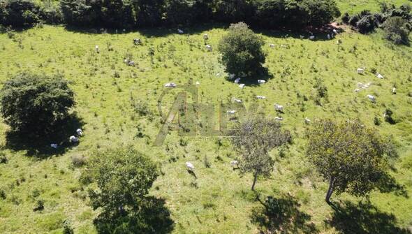 Terreno, 180 m² - Foto 7