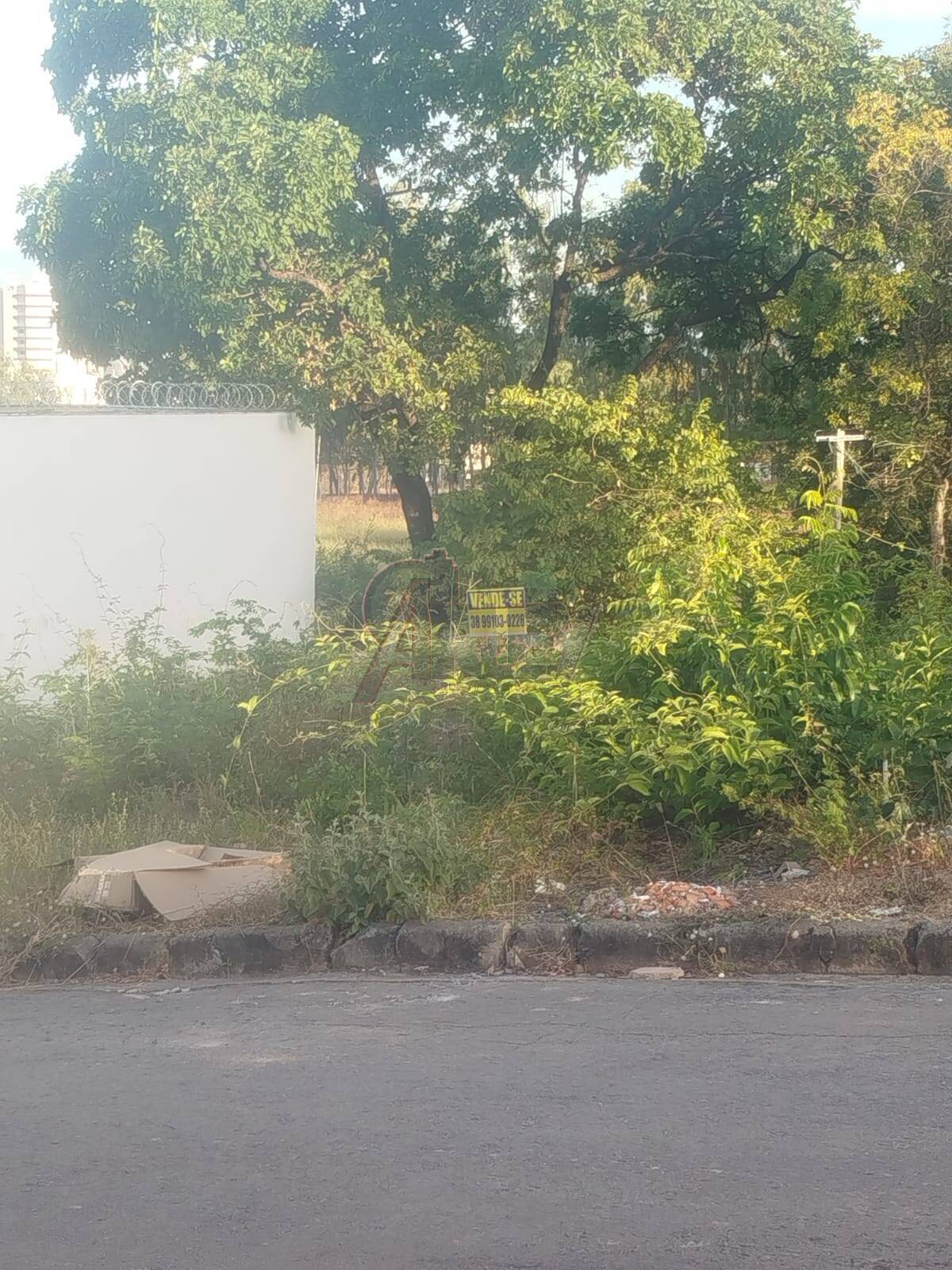 Vendo Lote no Bairro Vila Nova – Oportunidade!