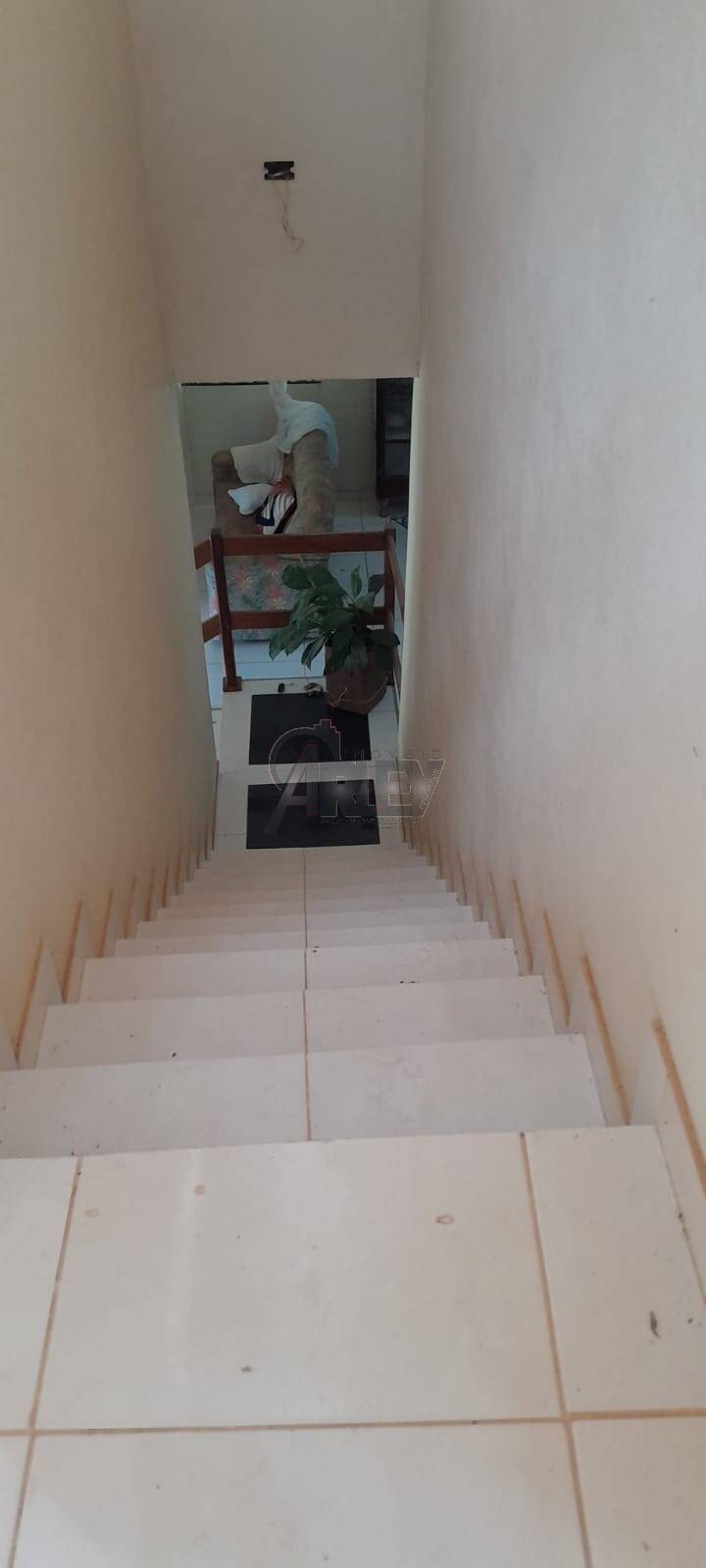 Sítio, 3 quartos, 14 m² - Foto 3