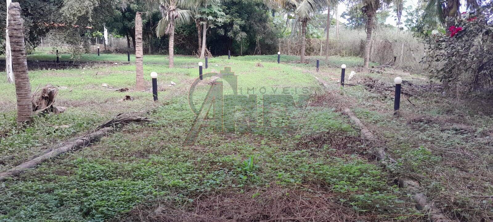 Sítio, 3 quartos, 14 m² - Foto 4