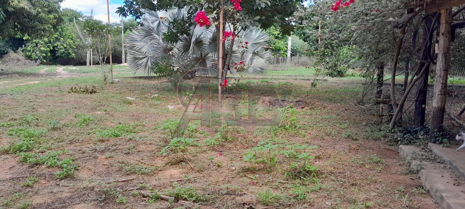 Sítio, 3 quartos, 14 m² - Foto 6