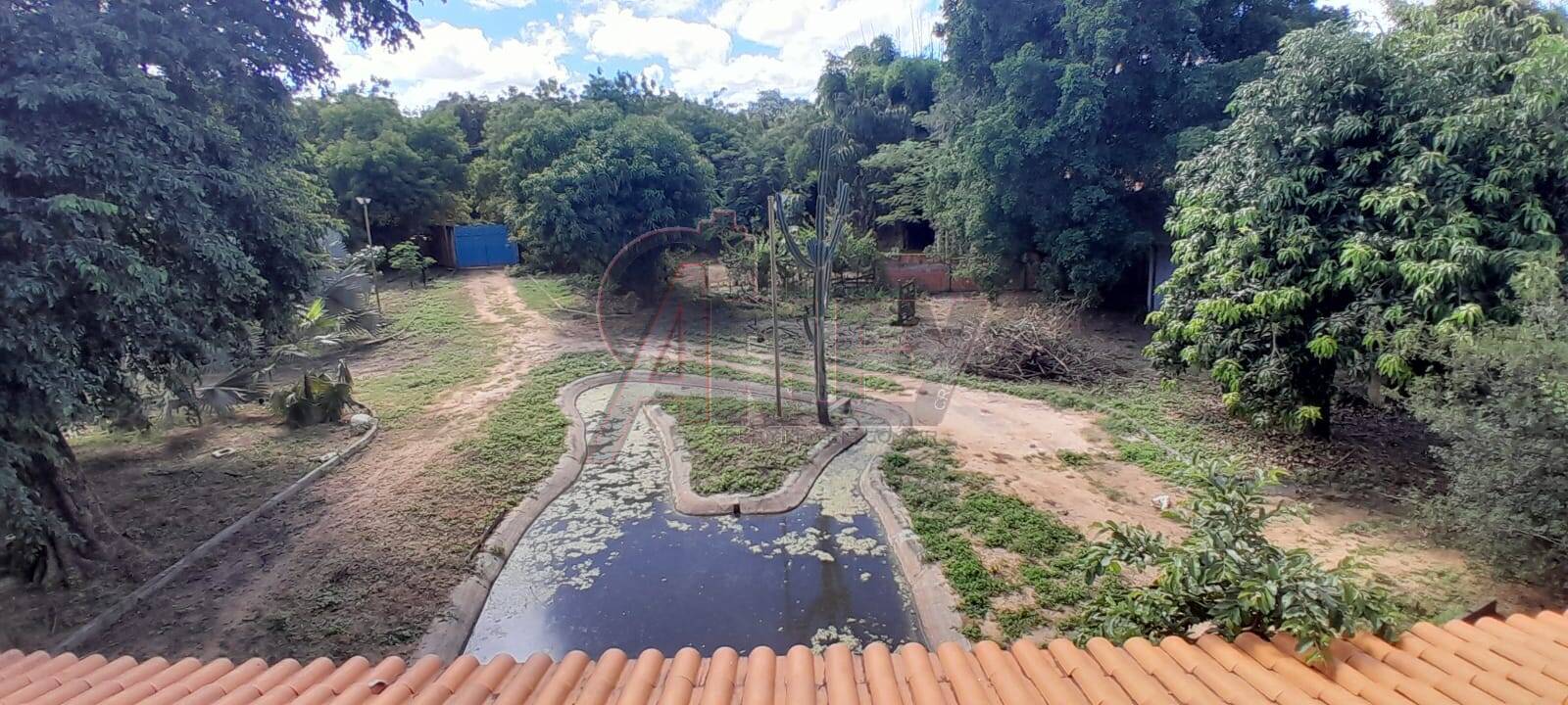 Sítio, 3 quartos, 14 m² - Foto 9