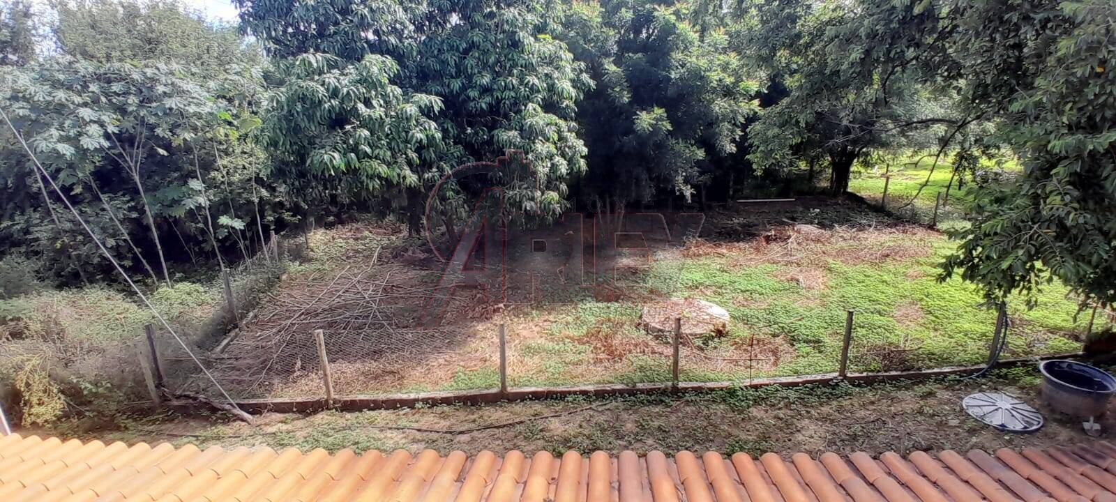 Sítio, 3 quartos, 14 m² - Foto 10