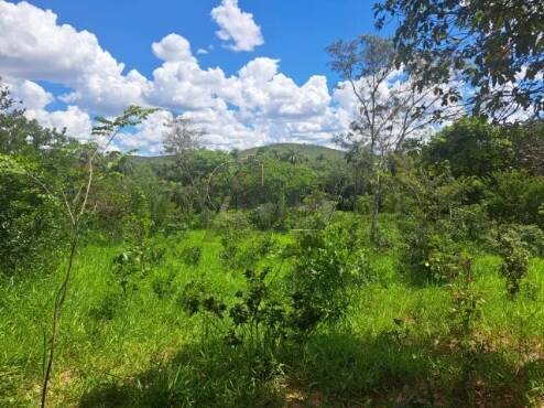 Terreno, 7 m² - Foto 2