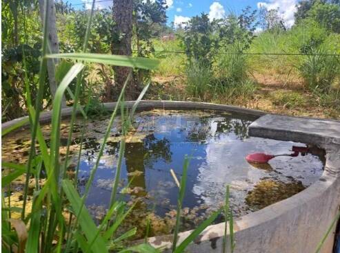 Terreno, 7 m² - Foto 1