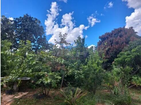 Terreno, 7 m² - Foto 7