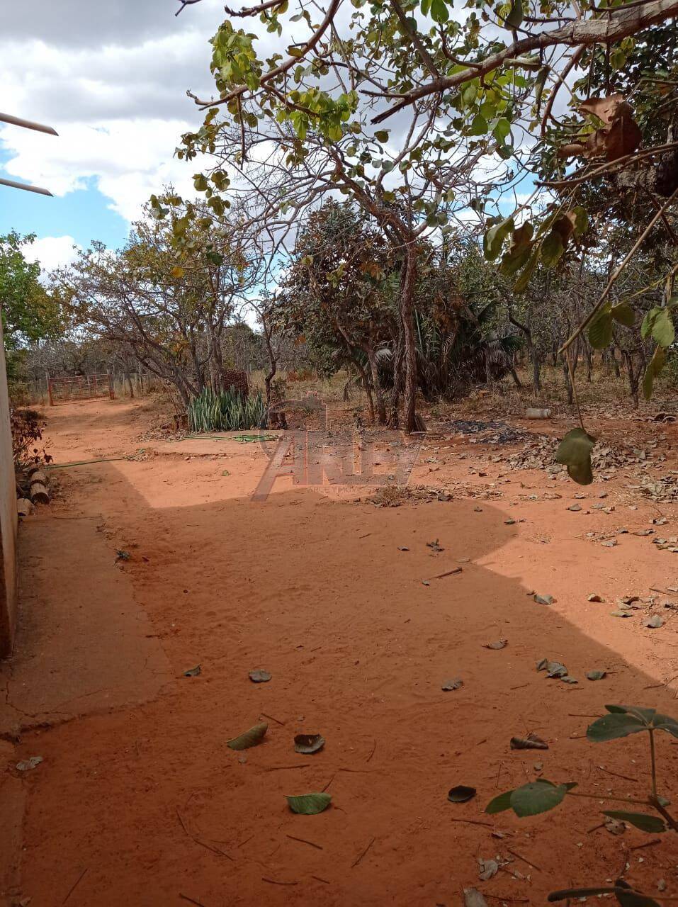 Terreno, 1500 m² - Foto 3