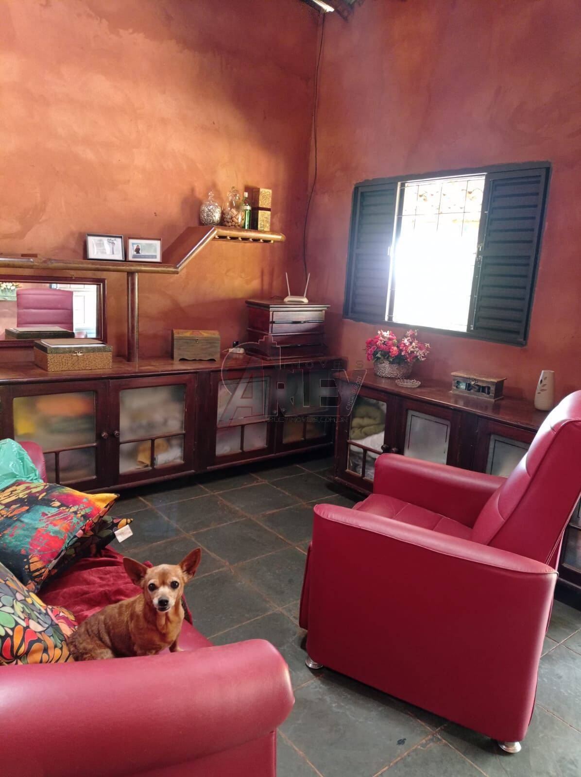 Terreno, 1500 m² - Foto 5