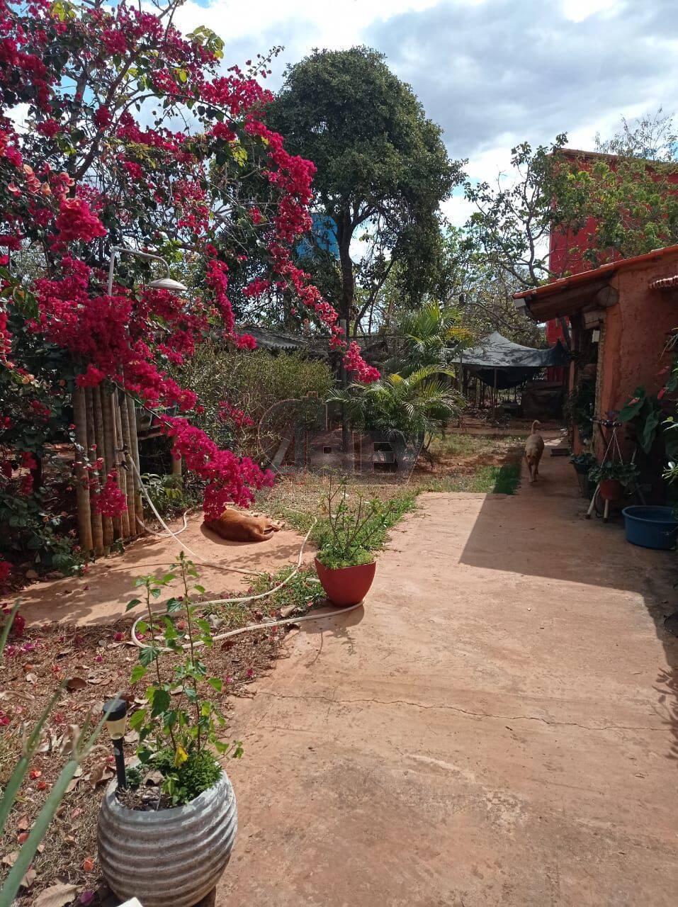 Terreno, 1500 m² - Foto 1