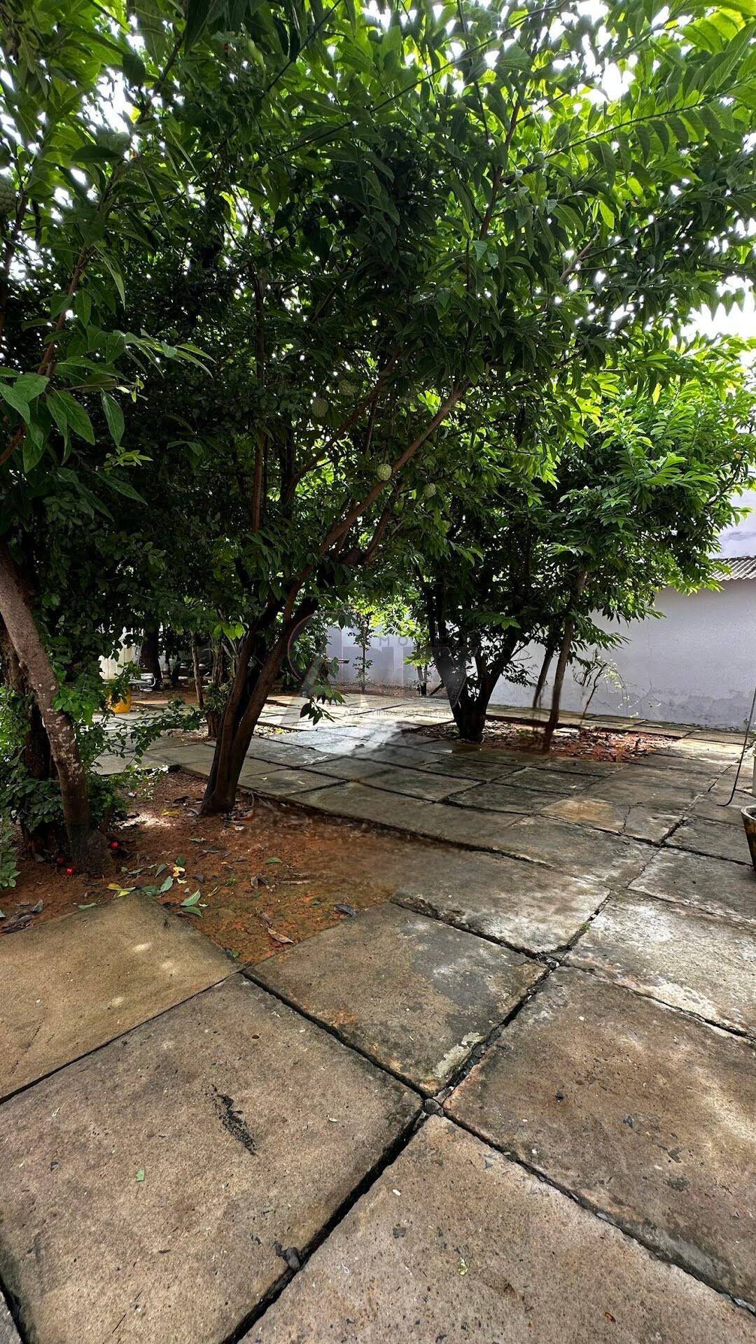 Casa, 4 quartos, 450 m² - Foto 15