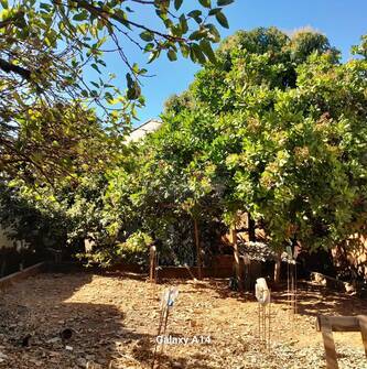 Terreno, 249 m² - Foto 2