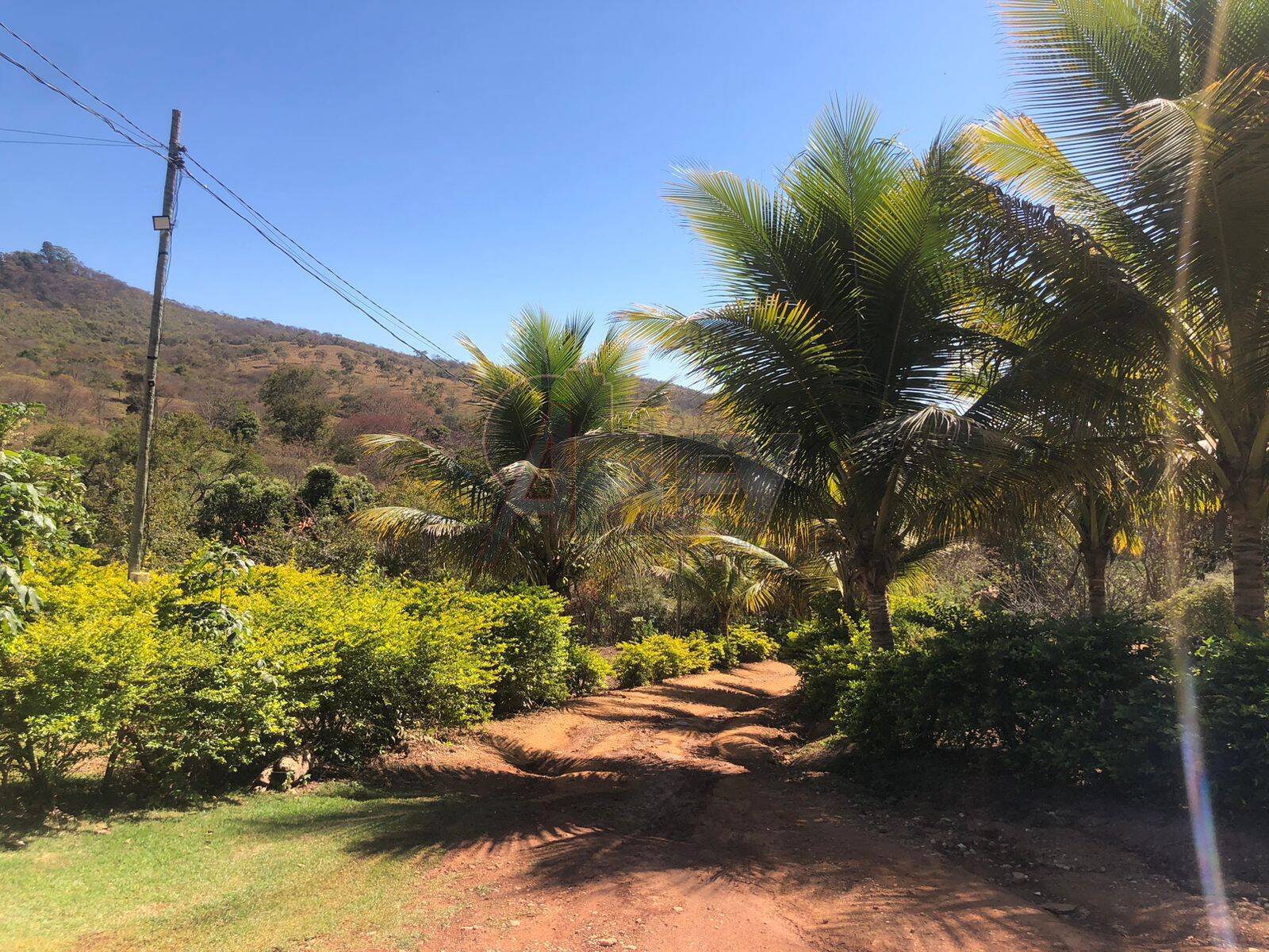 Chácara, 1 quarto, 2 hectares - Foto 6