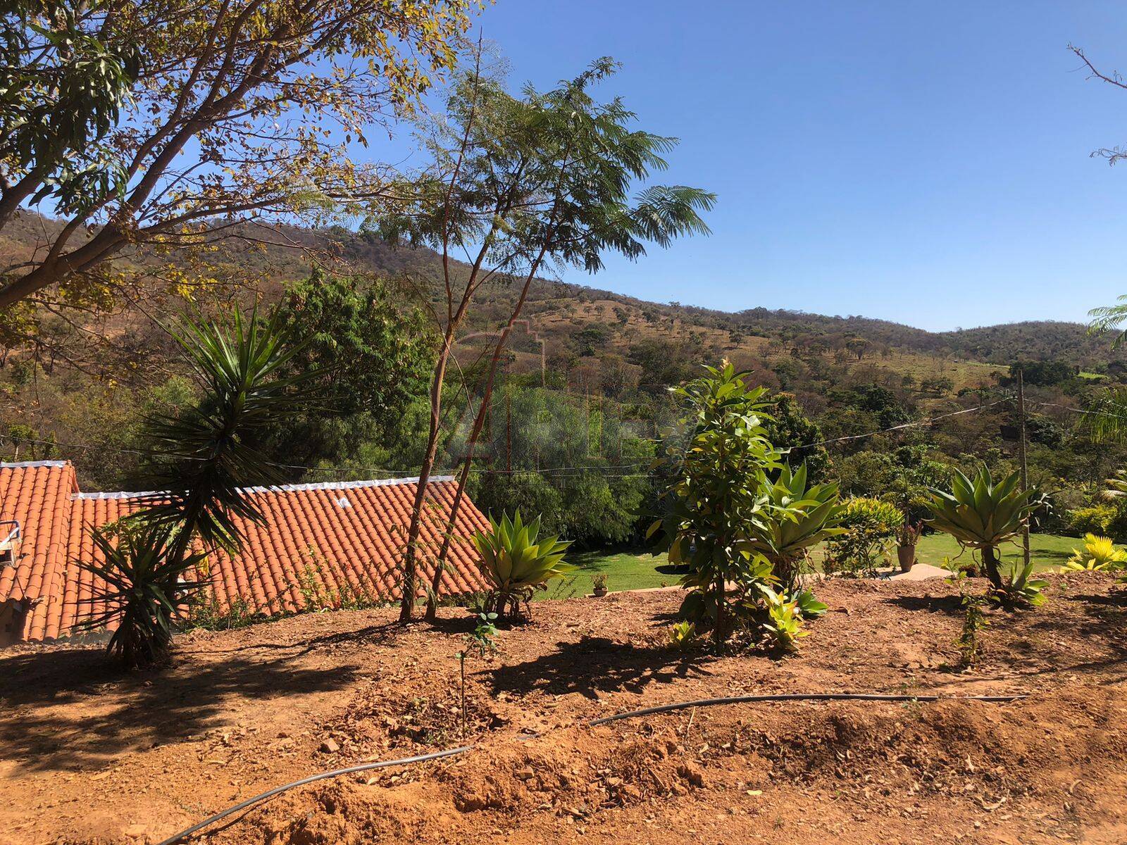 Chácara, 1 quarto, 2 hectares - Foto 9