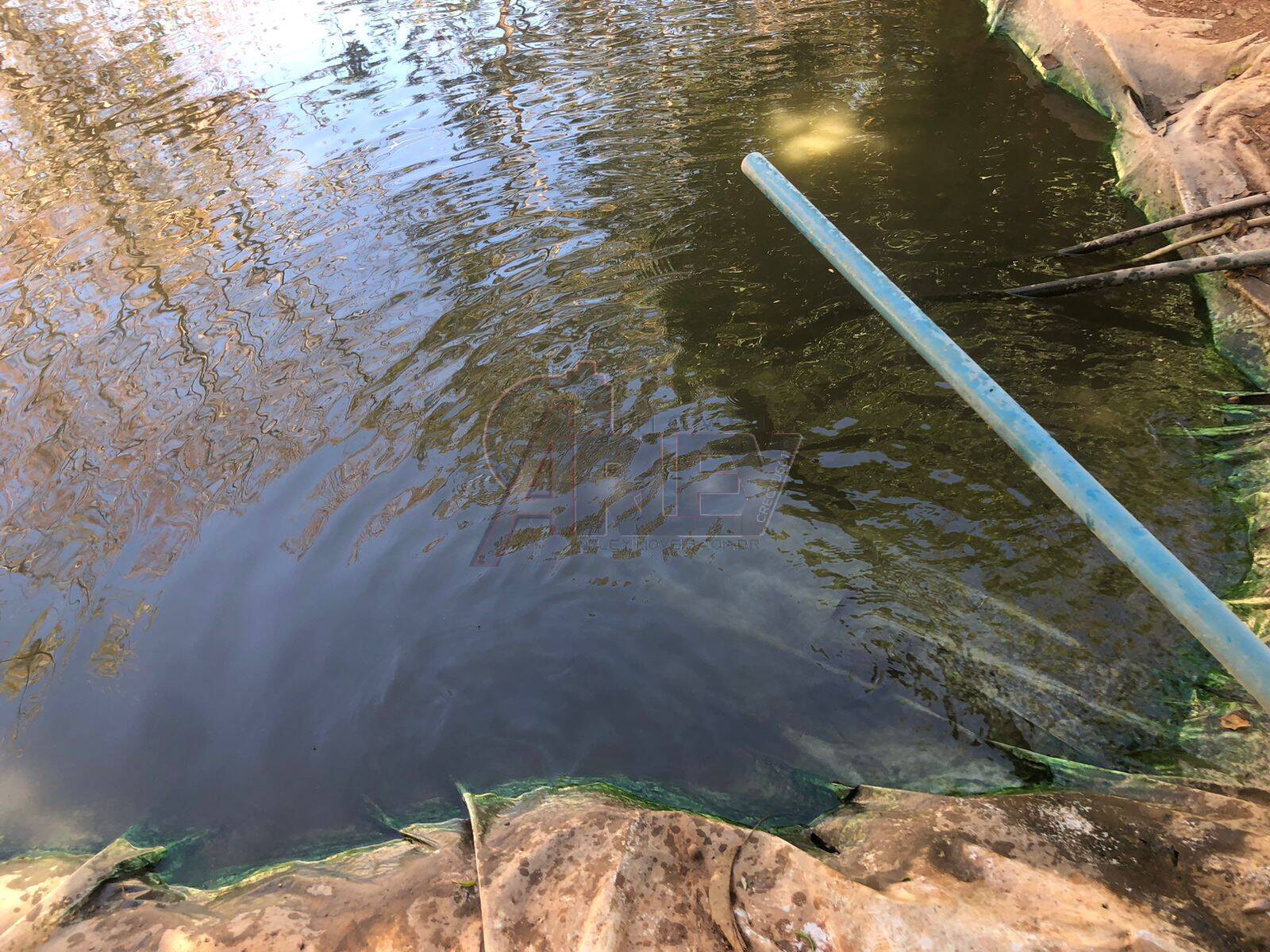 Chácara, 1 quarto, 2 hectares - Foto 11