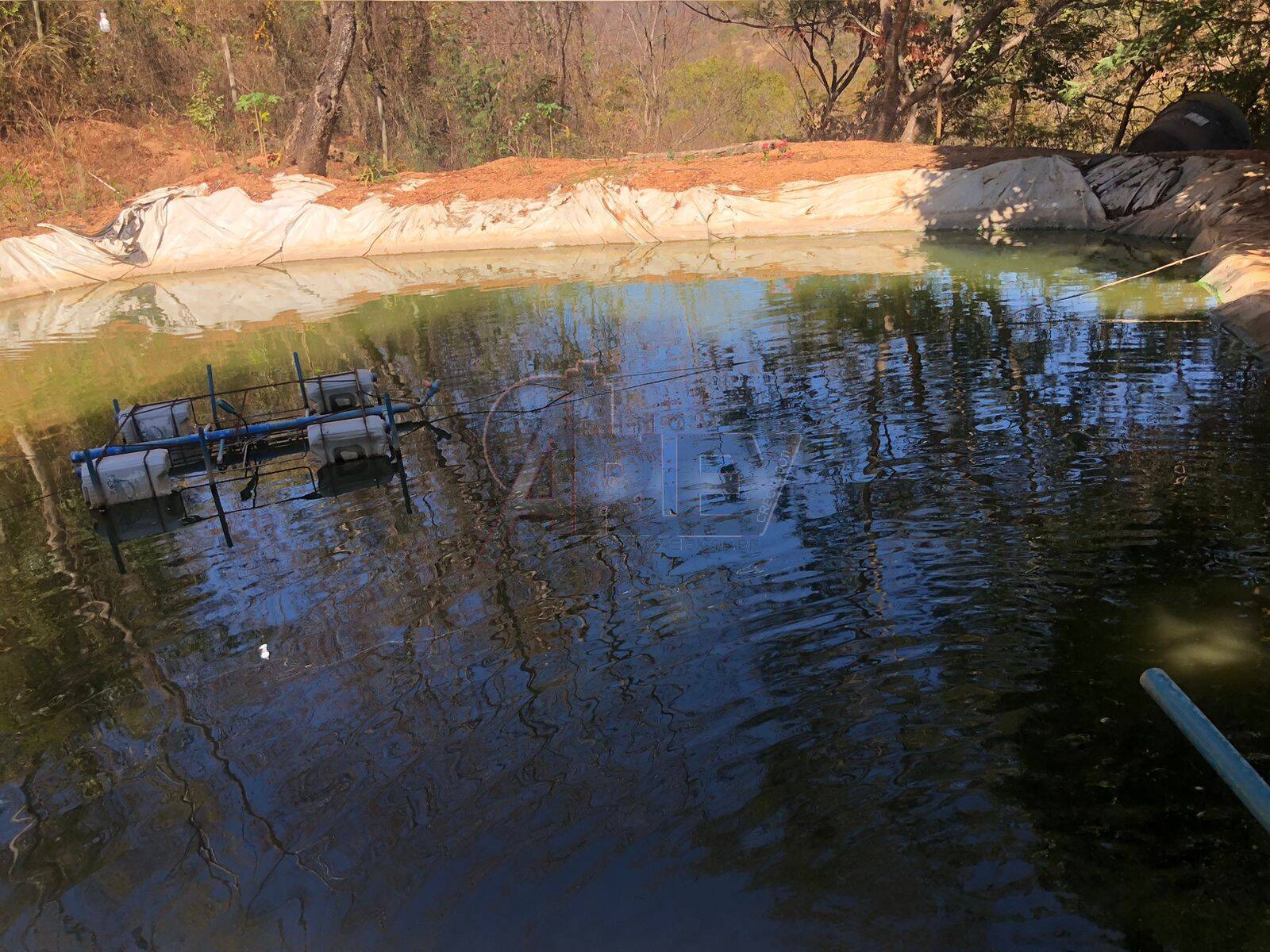 Chácara, 1 quarto, 2 hectares - Foto 12