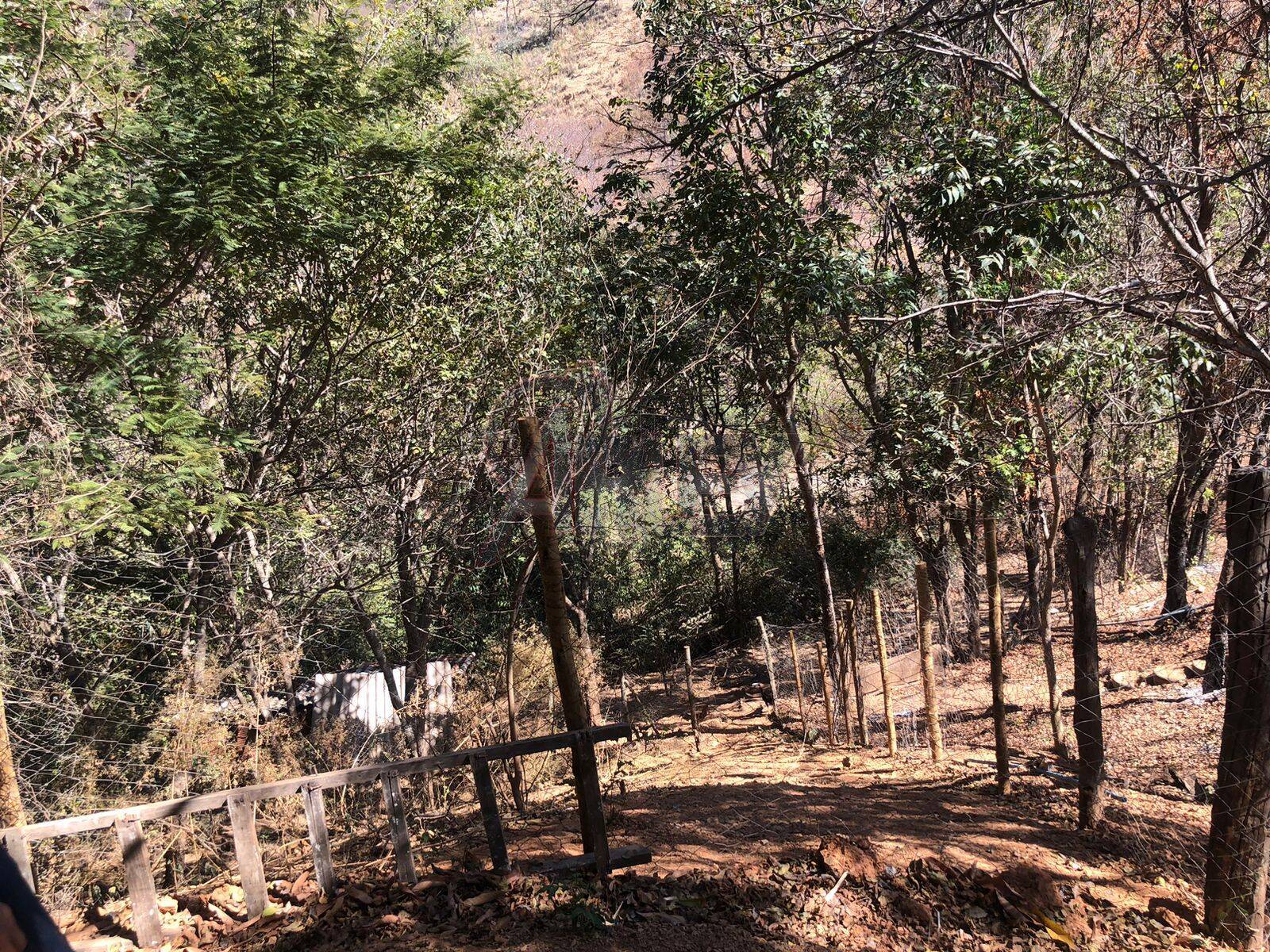 Chácara, 1 quarto, 2 hectares - Foto 13