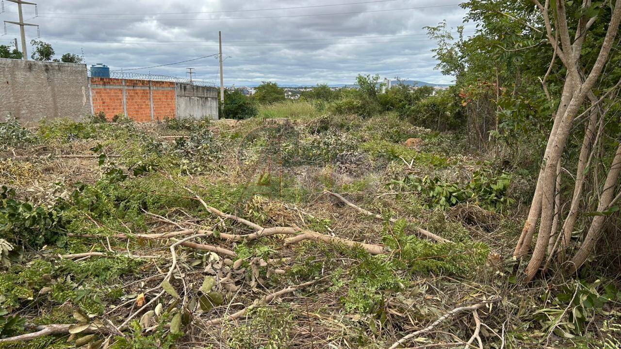 Terreno, 338 m² - Foto 1