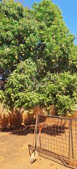 Casa, 2 quartos - Foto 11