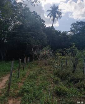 Fazenda-Sítio-Chácara, 5 quartos - Foto 9