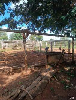 Fazenda-Sítio-Chácara, 5 quartos - Foto 8
