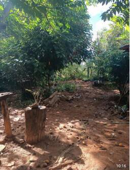 Fazenda-Sítio-Chácara, 5 quartos - Foto 15