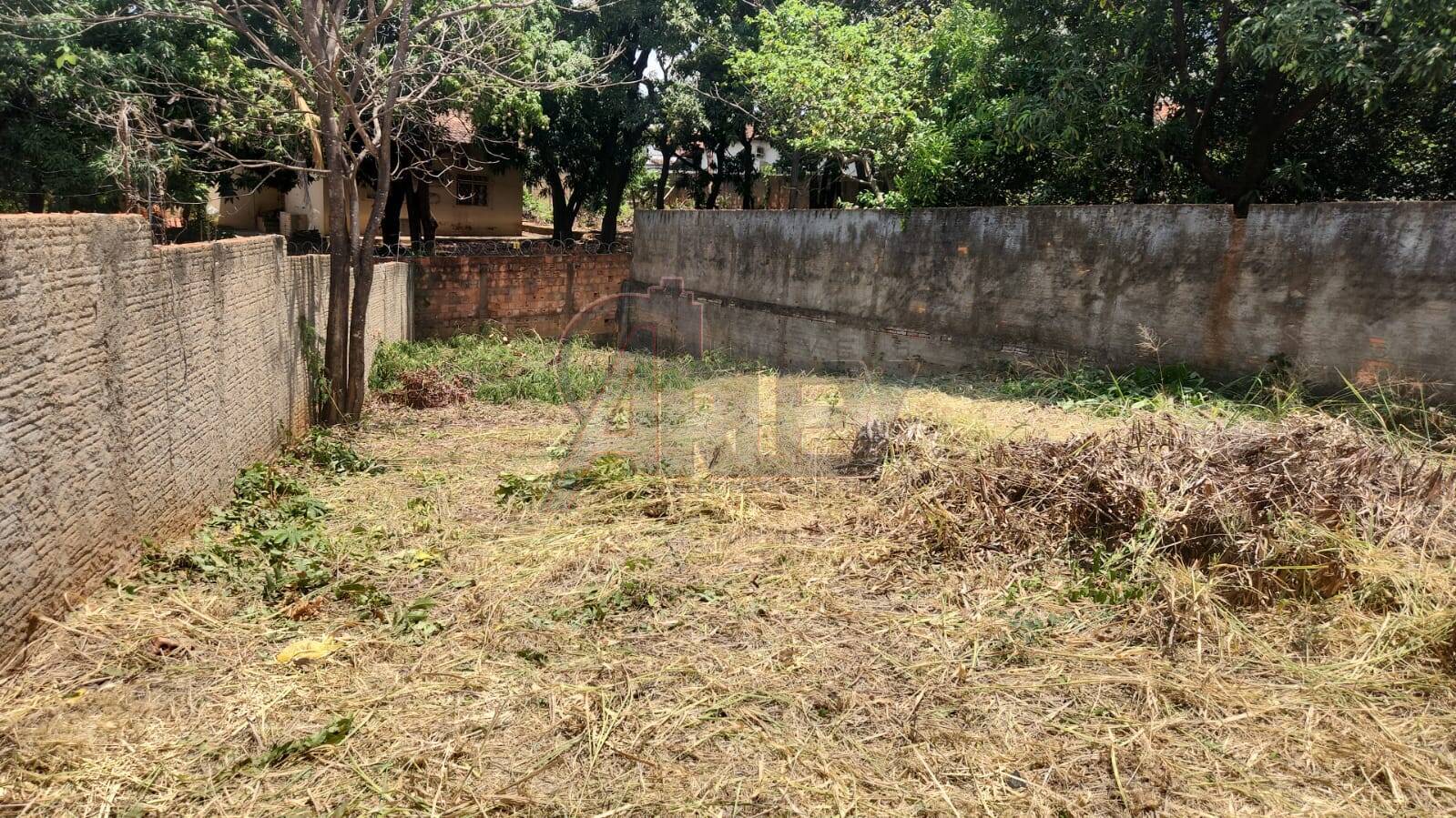 Terreno, 313 m² - Foto 1