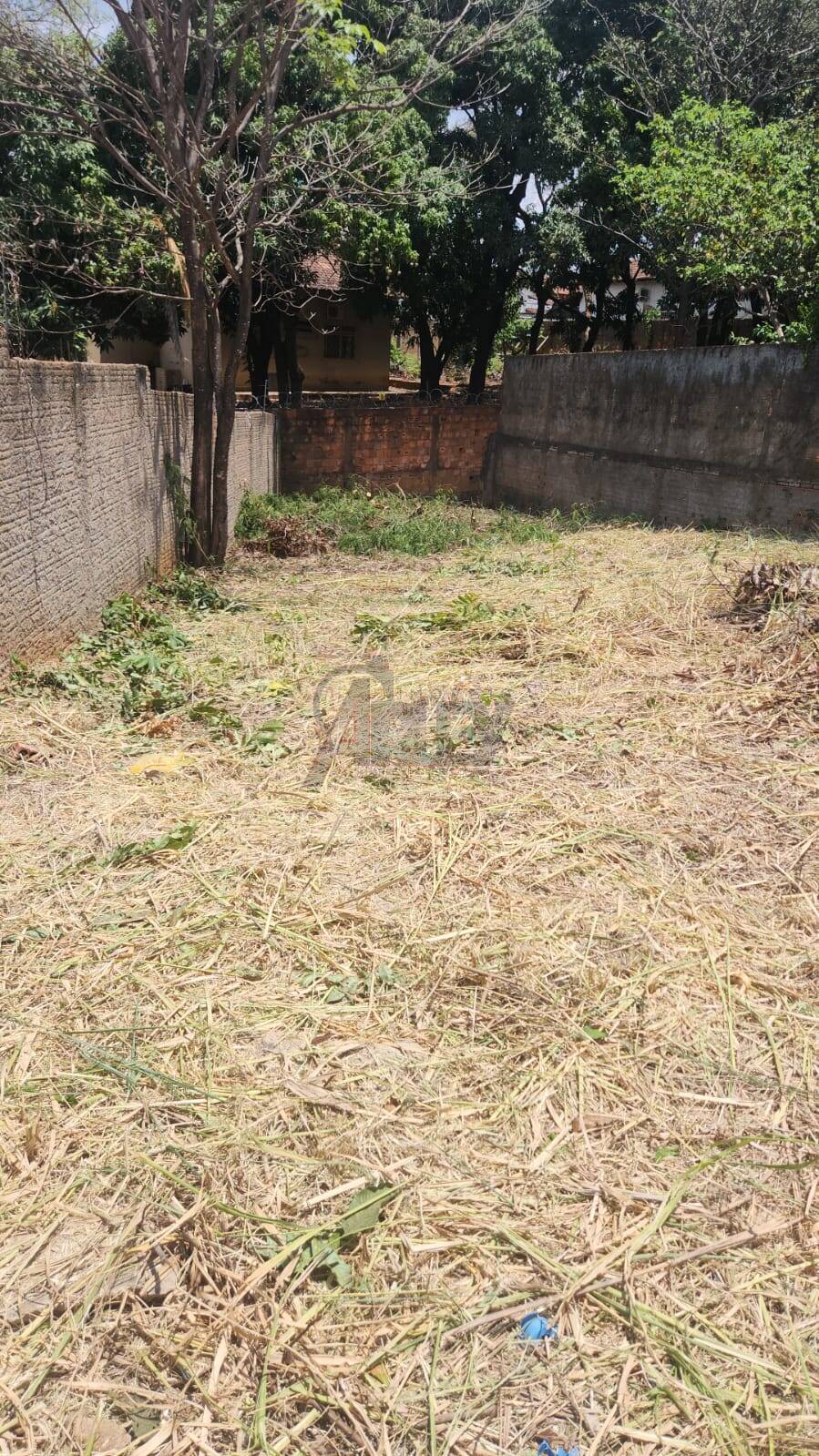 Terreno, 313 m² - Foto 2