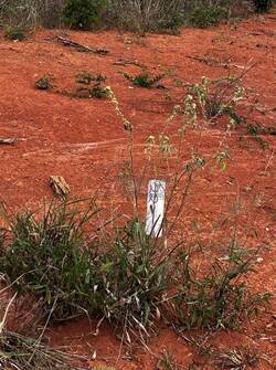 Terreno, 180 m² - Foto 5