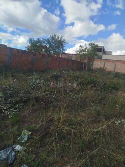 Terreno, 300 m² - Foto 5