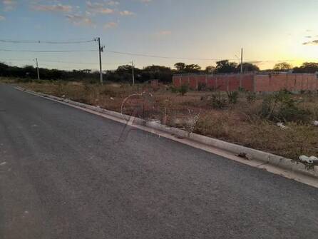 Terreno, 250 m² - Foto 2