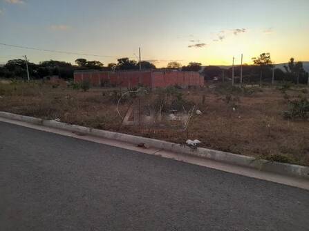 Chácara, 3 quartos, 3965 m² - Foto 3