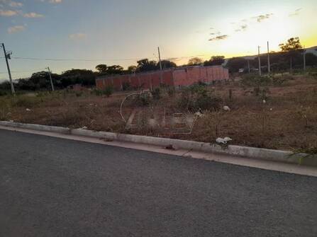 Chácara, 3 quartos, 3965 m² - Foto 7