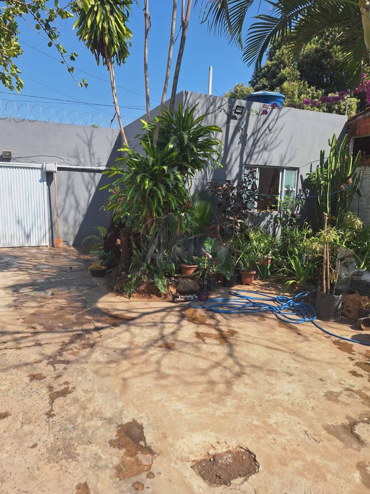 Casa, 3 quartos - Foto 13