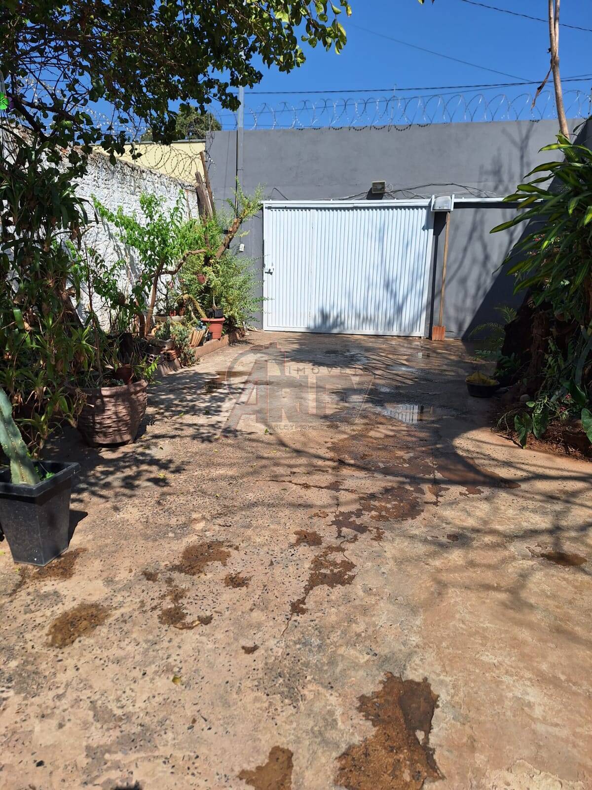 Casa, 3 quartos - Foto 14