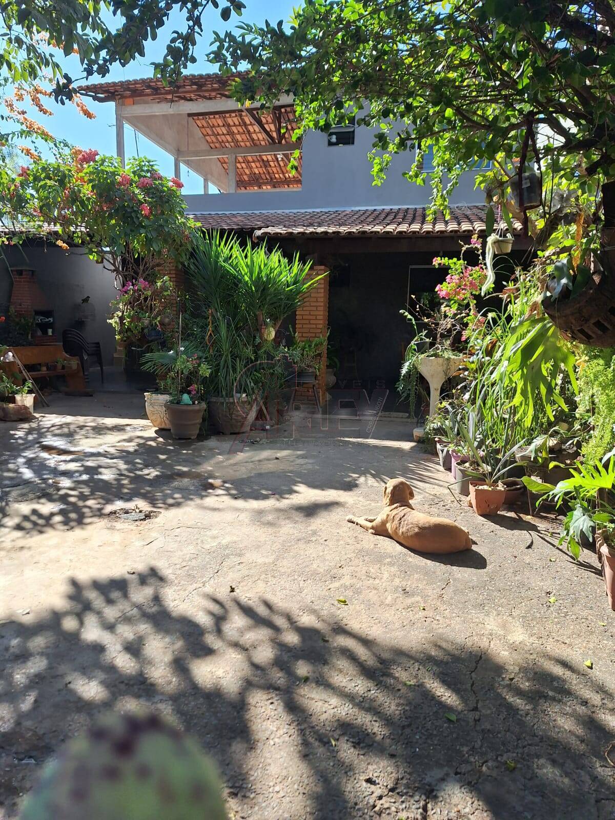 Casa, 3 quartos - Foto 19