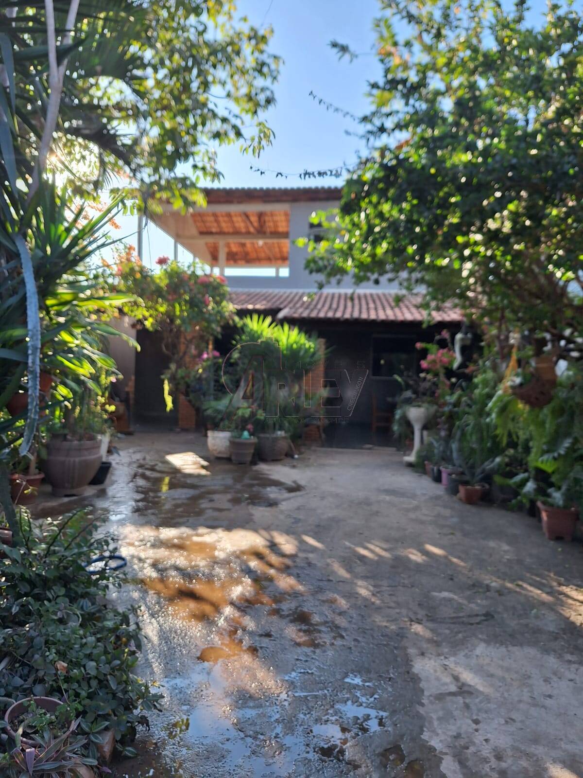 Casa, 3 quartos - Foto 20