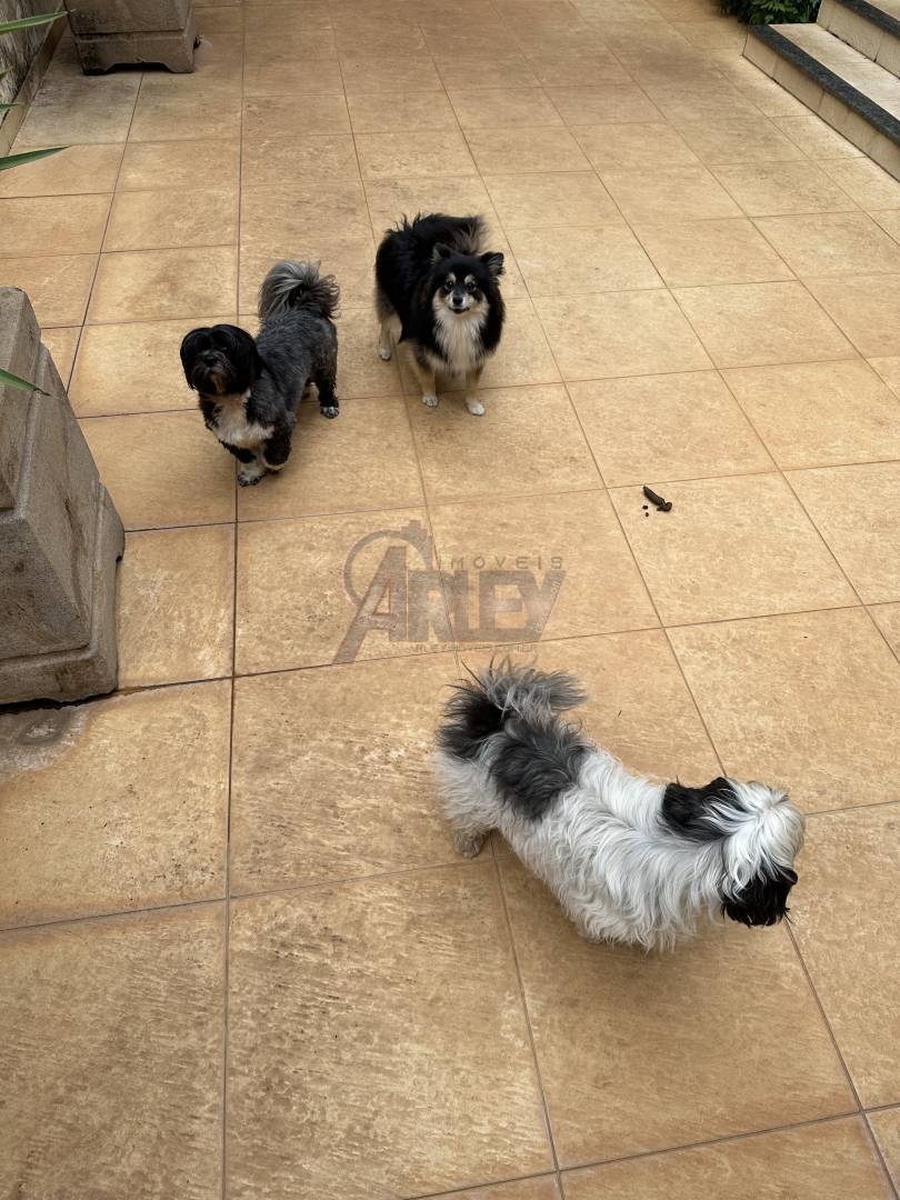 Casa, 4 quartos, 360 m² - Foto 10