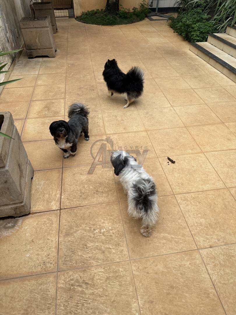 Casa, 4 quartos, 360 m² - Foto 11